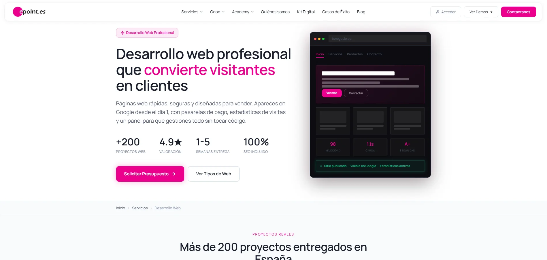 Desarrollo web profesional