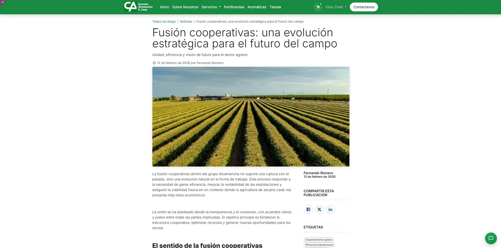 Articulo fusion cooperativas