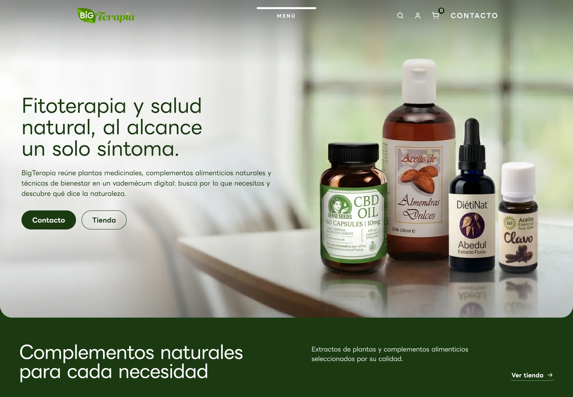 Nueva página de inicio de la web de BigTerapia, con hero a pantalla completa