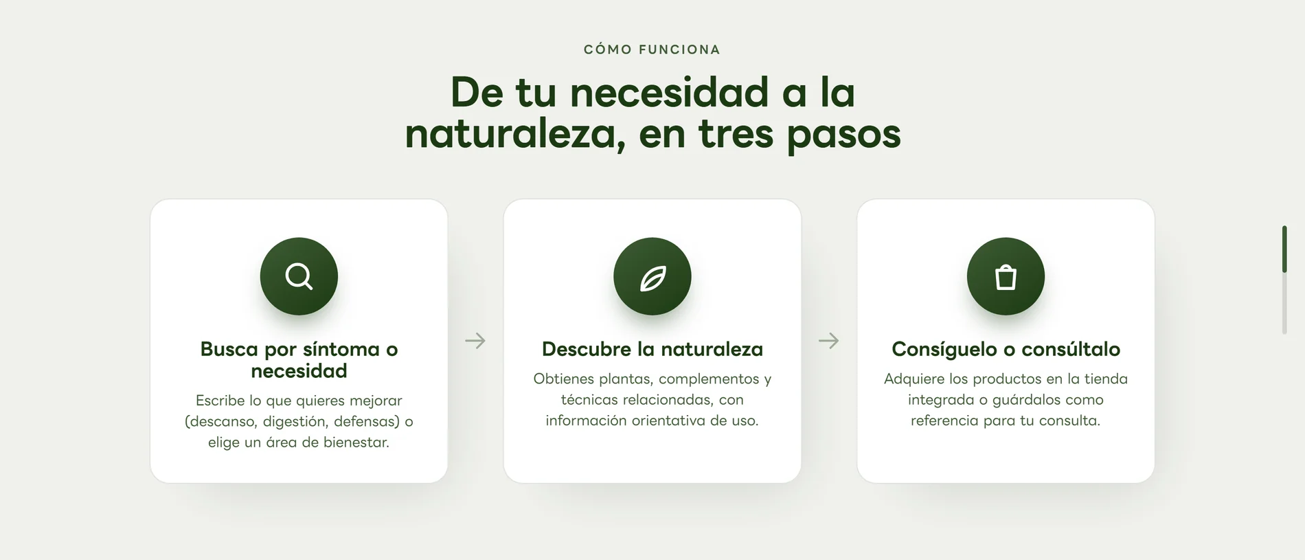 Cómo funciona, en tres pasos