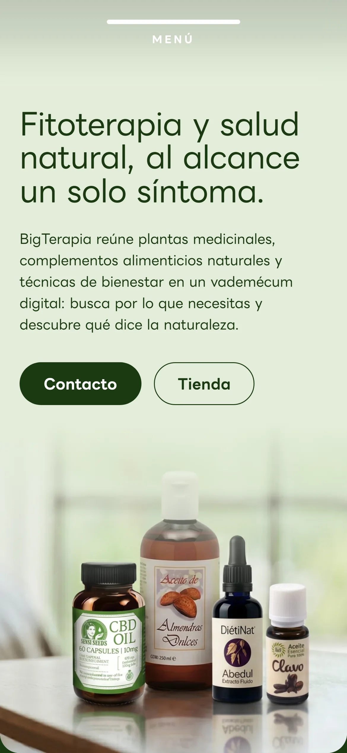 Versión móvil de la web