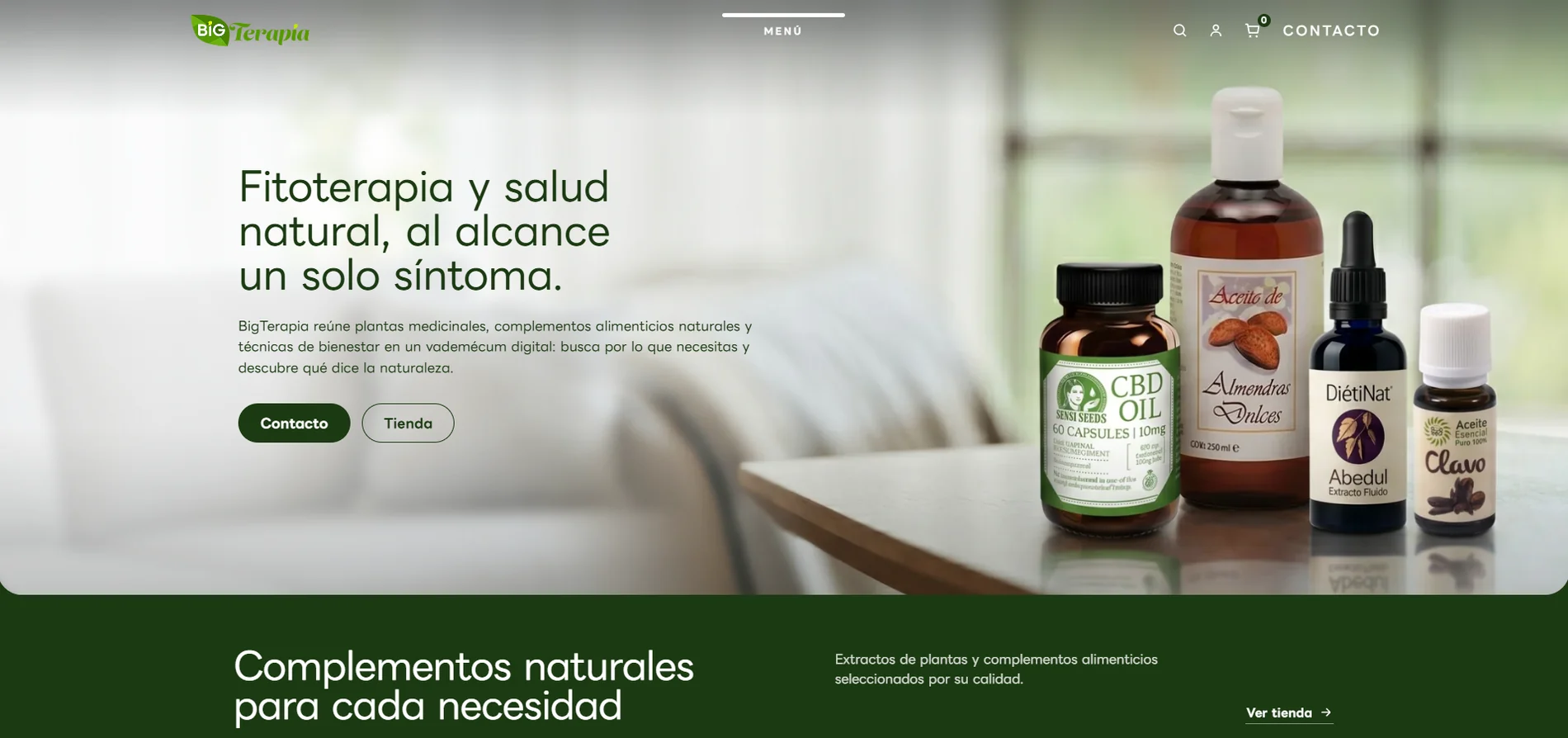 Página de inicio de la web de BigTerapia