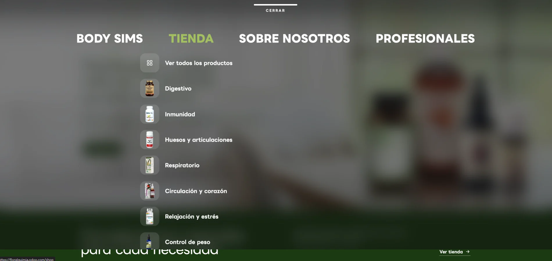 Menú de navegación con el desplegable de la tienda